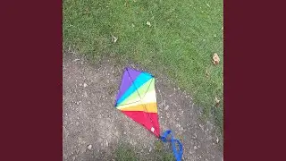 A kite on the 4th of october