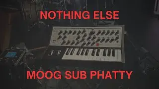 Nothing Else // Cody Carnes // Moog Sub Phatty