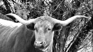 Montana Ranch Feature: Grant-Kohrs National Historic Site