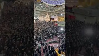 Matam In Karbobala #matmadari #karbala
