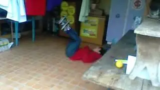 Tombo de Skate
