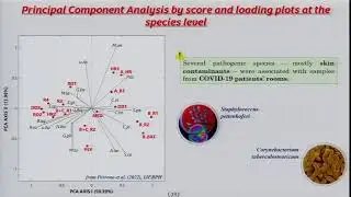 Profiling Bioaerosols in Indoor and Outdoor Locations