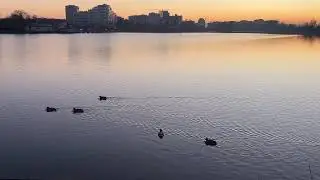 Beautiful sunset in Ukraine! 