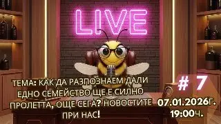 Как да разпознаем дали едно семейство ще е силно пролетта, още сега? Новостите при нас!