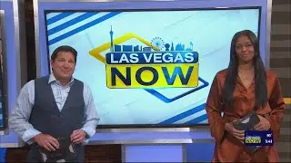 How to Protect Your Rights After an Accident with Eric Palacios & Associates