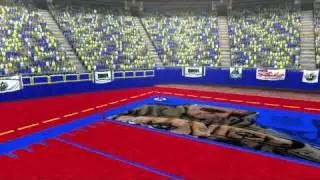 Madden TeXmod Custom Crowd texture
