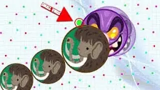 Alis.io Win Montage !