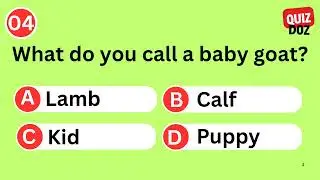 Did You Know? 🦁 Amazing Animal Facts Quiz | Unbelievable & Fun Trivia