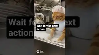 When the good cat finally snaps 😤🐾Not him crying at the end 💀#aicontent #aicat #shortcatsvideos