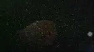BitconnectX is coming soon