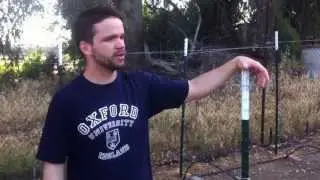 Home Vineyard: Growing Wine Grapes at Home