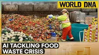 AI tackles food waste by analysing trash in restaurants | World DNA | World News | WION