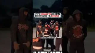 Chicago Yns From The 173rd Suburb Go Viral 😳 #wild #hoodvlog #interview #chicagosuburbs