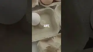 Egg Recipes in 60 Seconds!