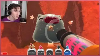 Hranim Slime-ul Pisica de pe Slime Rancher!