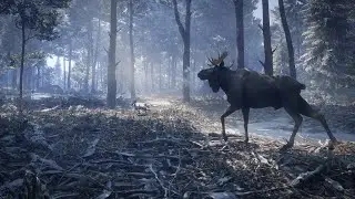 Hunter Call of the Wild: Medved Taiga missions (part 4)