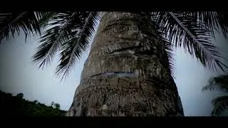 B-roll on GoPro Hero 6 Black