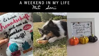 Weekend in my life 💖✨/als Autistin/ Adventskalender/To do liste / Hundegeburtstag 🙈🐶#life #lifestyle