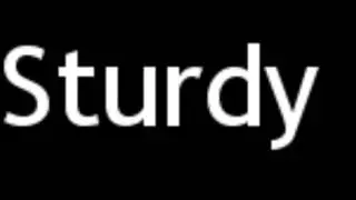 How to Pronounce Sturdy