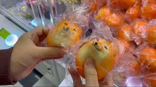 Shiba Inu Toy Grabbed First Try! Claw Machine&ndash; Crane Game in Japanese #clawmachine #cranegame #japan