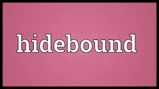 Hidebound Meaning