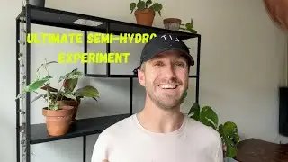 Ultimate Semi-Hydro Experiment | Planting Plants | Sybotanica