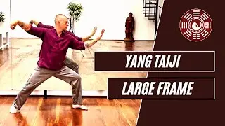Yang Taiji - Large Frame