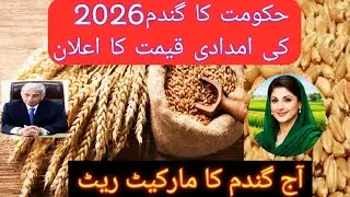 Govt  Announced the wheat support price 2026||Today wheat price in Pakistan|wheat farming in Punjab 