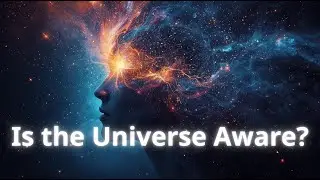 From Stardust to Sentience: The Mystery of Consciousness