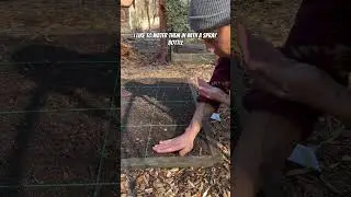 Unbelievable! 🤯 Grow 55 Plants in Just a 4x4 Bed - Here's How! 🌱