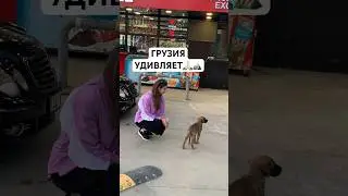 ГРУЗИЯ И СССР?😱☀️ #грузия #тбилиси #кавказ #georgia #горы #грузины #грузияпутешествия #осетия