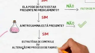 Avalia&ccedil;&atilde;o do risco de nitrosaminas: fase 2