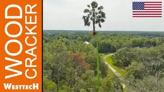 Grip saw Woodcracker&reg; CS750 smart working in the Sunshine State