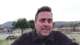 !Necesito ayuda urgente!