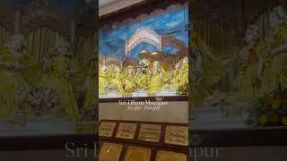 🌸 Mayapur Sree Dham &ndash; The Spiritual Heaven on Earth! 🌸 #krishnabhajan #youtubeshorts #tranding