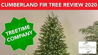 Christmas Tree Review: Treetime: Cumberland Fir Tree: SHOP WITH ME