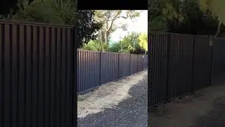 From Worn to Wow &ndash; Sliding Gate & Fencing Upgrade in Dalkeith!