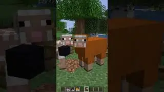 Sheep Color wool Change Trick in Minecraft! 🐑 | Minecraft Tamil Shorts #tamilgaming #minecraftshorts