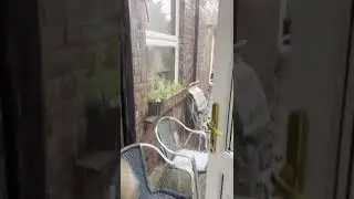 Weather in England. Strong rain, hail, heavy impacts Durham UK today
