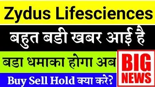 पैसे डबल कामा के देगा zydus life science share latest news zydus cadila healthcare share latest news