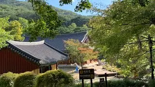 South Korea🇰🇷 #1 - DAEGU - Donghwasa Temple #Donghwasa #Temple #Daegu #Koreatravel