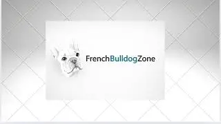 10+ Toxic Food That Can Seriously Harm Your French Bulldog