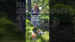 Dog Friendly Breweries - Bluemont Station Brewery  #loudouncountyva #realestate #brewery #dogs