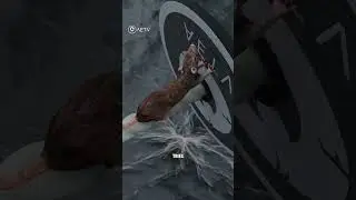 Amazing Rat Guards for ropes🚫 stop rats on board|AETV-YTB