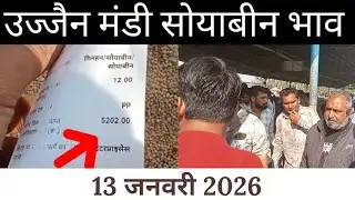 13 जनवरी 2026 उज्जैन मंडी सोयाबीन भाव /Today soyabin ret / ujjain mandi soyabin ret