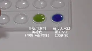 石けんと台所用洗剤