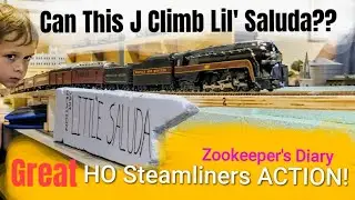 Steam TRAINS Galore! Hot track action HO scale Johnson City Railroad Experience TN N&W J UP BIG BOY