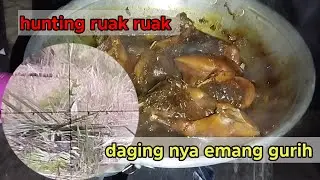 Berburu ruak ruak‼️masak semur kecap❗
