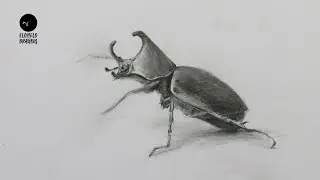 How To Draw A  Beetle  Pencil Sketch : Beetle