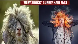 Weird Facts About Curly Hair That Will You Shocking - Travel For Free #3